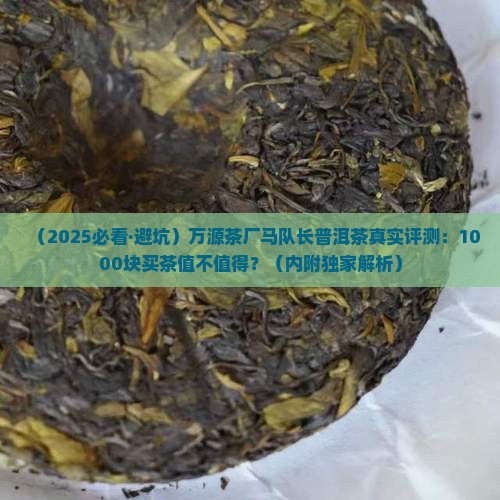 万源茶厂马队长普洱茶
