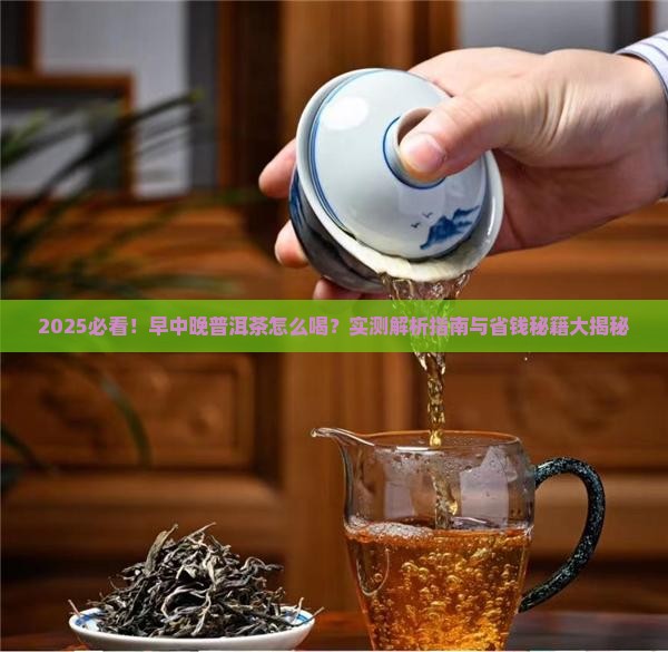 早中晚普洱茶怎么喝