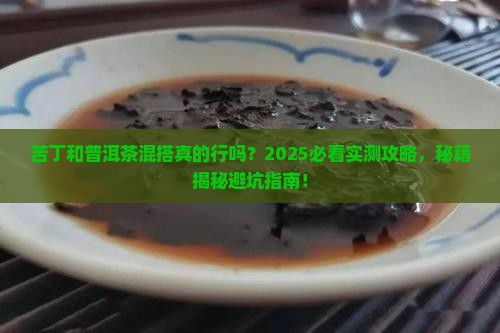 苦丁和普洱茶可以一起喝吗