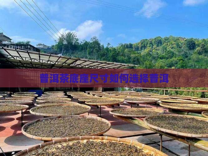 普洱茶的底座多大尺寸的好
