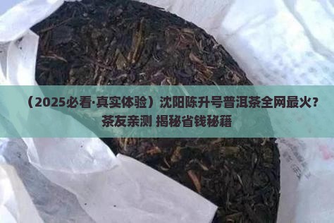 沈阳陈升号普洱茶