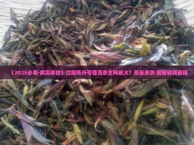 沈阳陈升号普洱茶