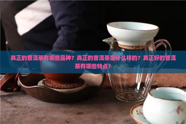 真正的普洱茶有哪些品种