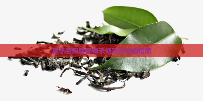 老班章碎银子荼泡法