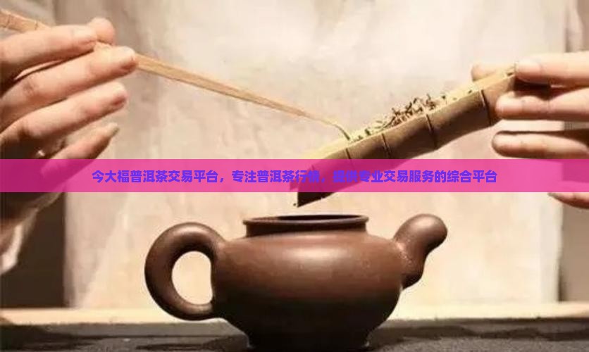 今大福普洱茶交易平台