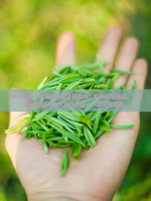 普洱茶有点发霉可以喝吗 普洱茶有点发霉可以喝吗