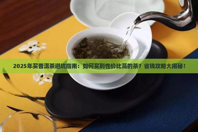 有购买购普洱茶的