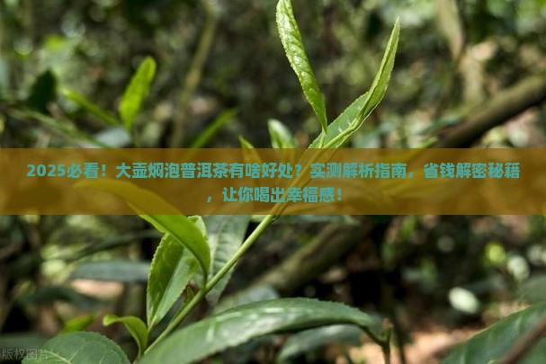 大壶焖泡普洱茶的好处
