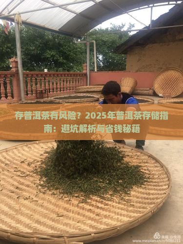 存普洱茶有风险