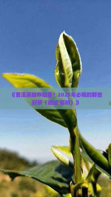 越陈越有味道的普洱茶有哪些 越陈越有味道的普洱茶有哪些