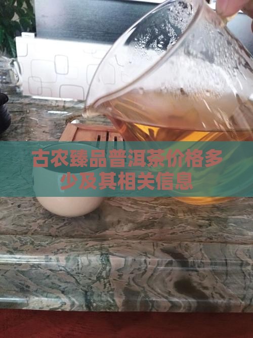 古农臻品普洱茶价格多少