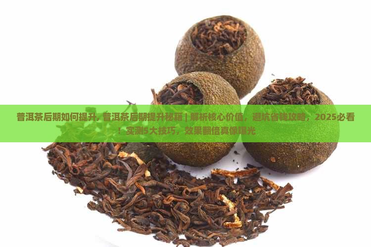 普洱茶后期如何提升