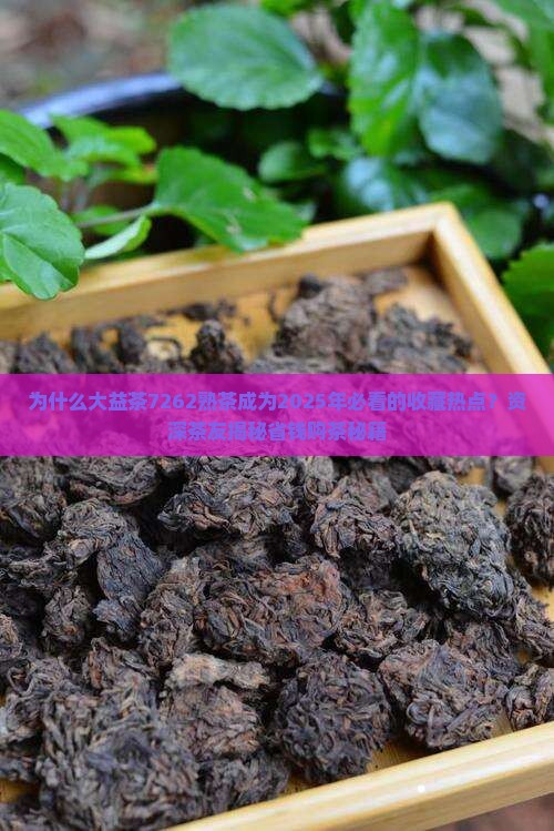 大益茶7262熟茶