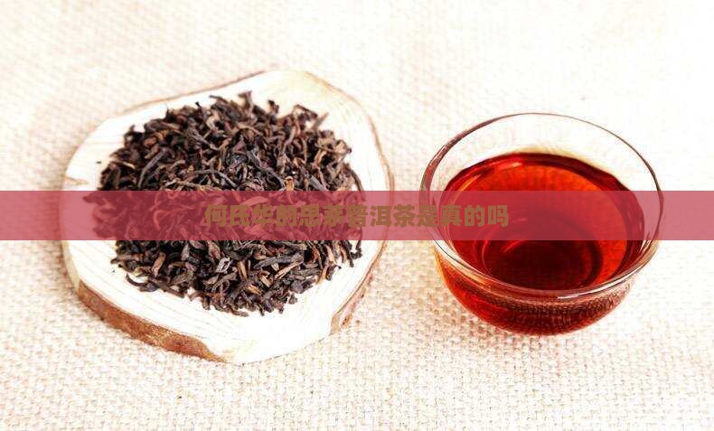 何氏华的思茅普洱茶