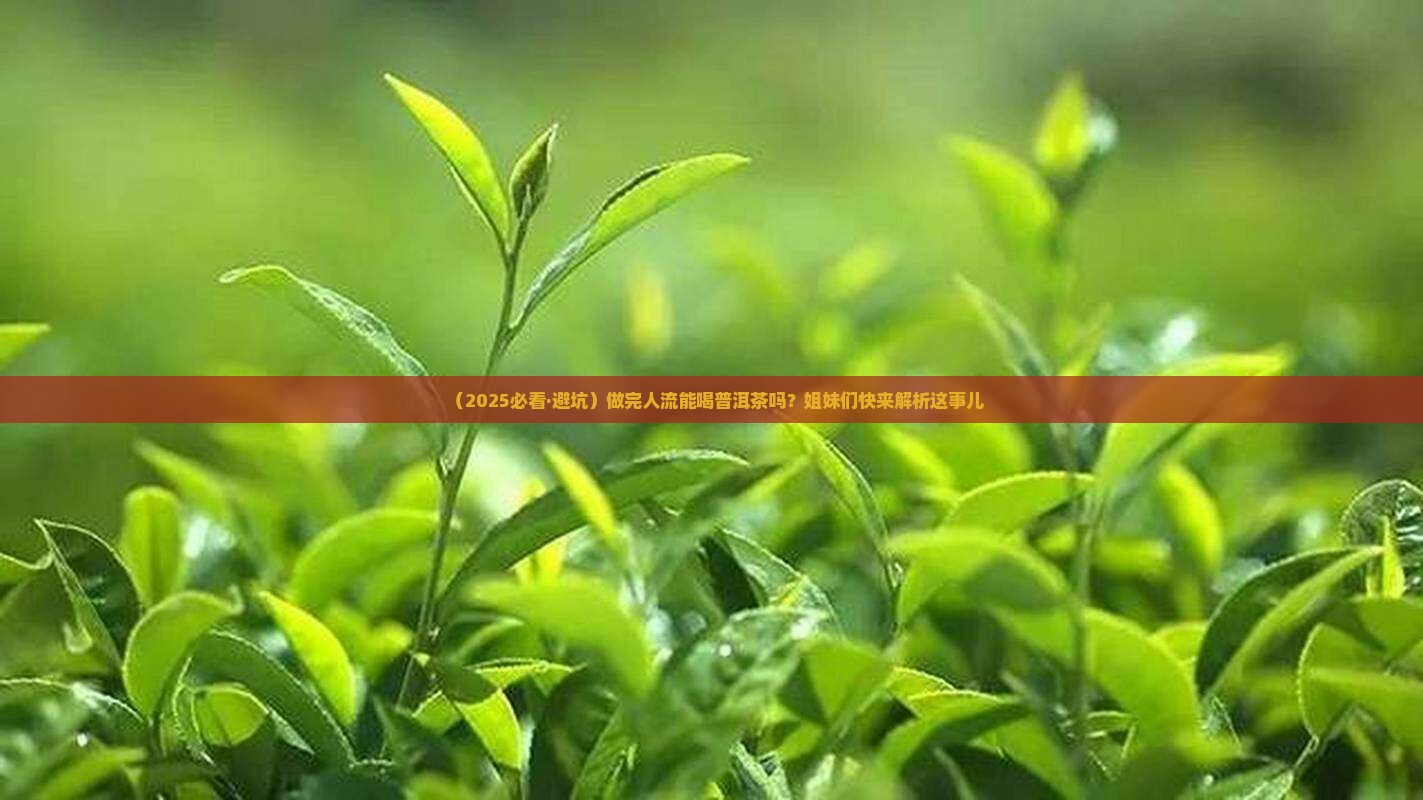 做了人流可以喝普洱茶吗