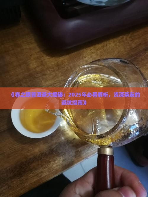 春之眼是什么普洱茶