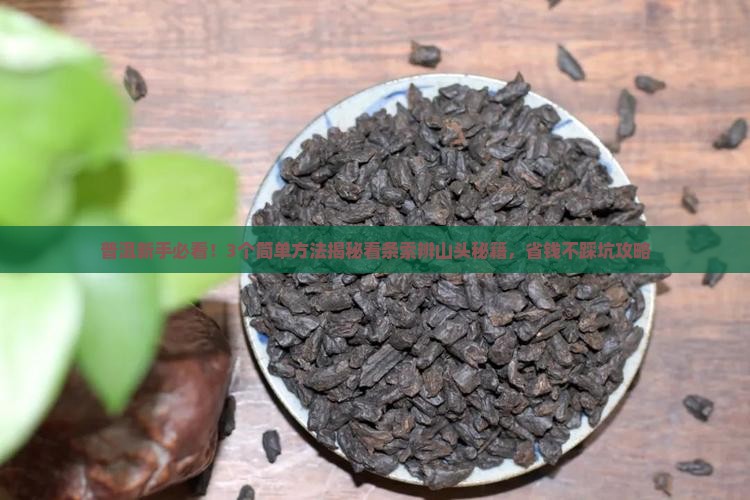 看普洱茶条索能辨别山头吗