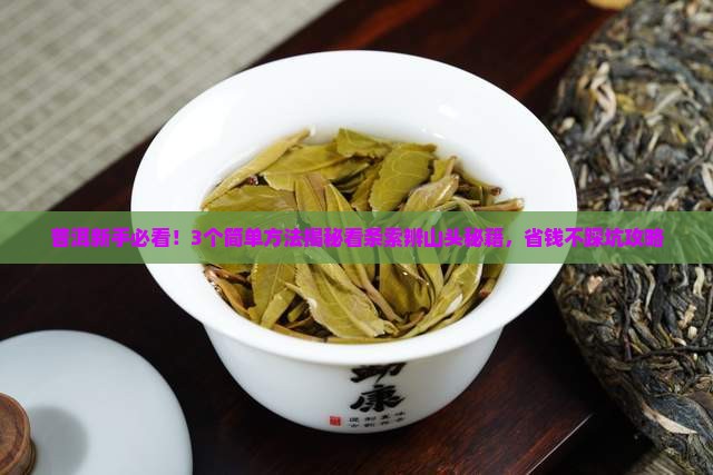看普洱茶条索能辨别山头吗