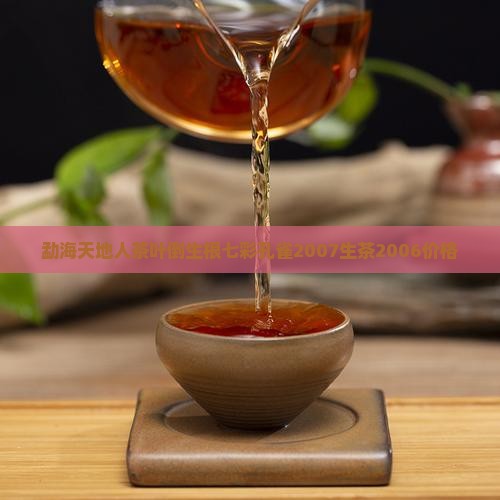 勐海天地人茶叶倒生根