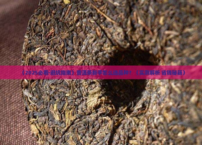 普洱茶收藏如何选好品种