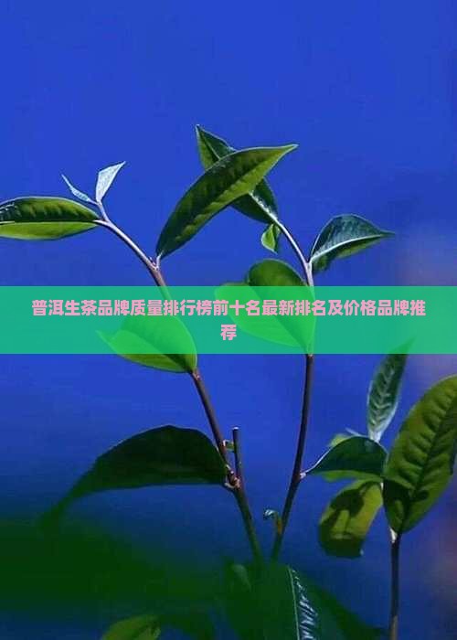 普洱生茶品牌质量排行榜