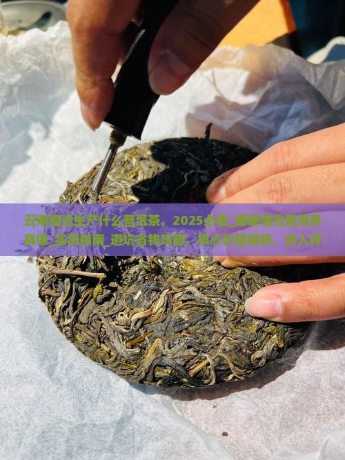 云南临沧生产什么普洱茶