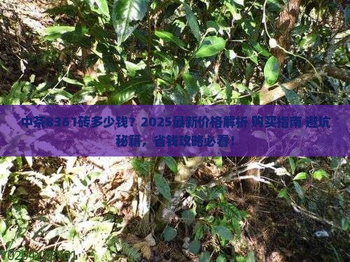 中茶8361砖多少钱