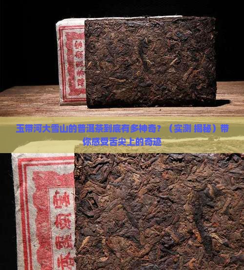 玉带河大雪山普洱茶