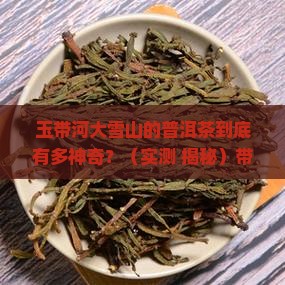 玉带河大雪山普洱茶