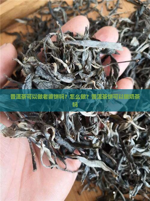 普洱茶可以做老婆饼吗