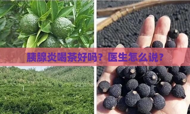胰腺炎喝普洱茶可以吗