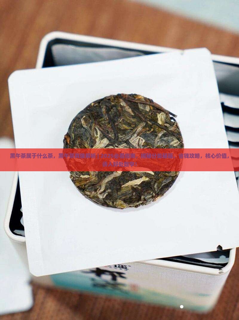 黑午茶属于什么茶