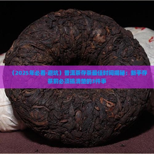 普洱茶什么时候存茶合适
