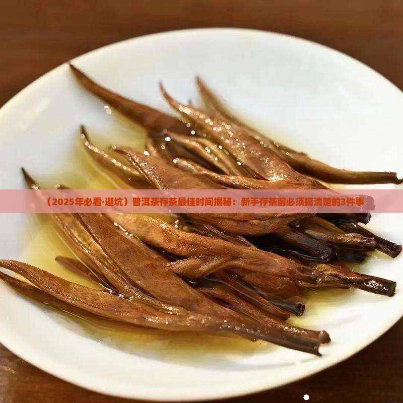 普洱茶什么时候存茶合适