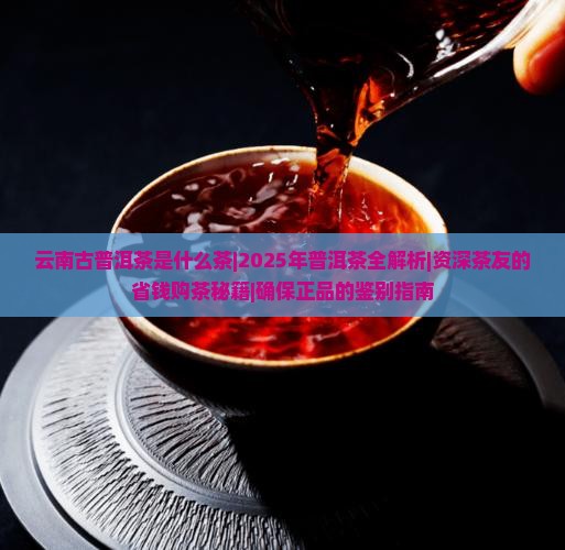 云南古普洱茶是什么茶