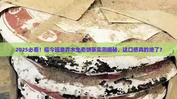 福今班章乔木生态饼茶