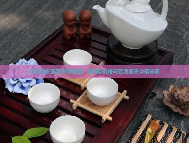 中茶紫天普洱茶价格表