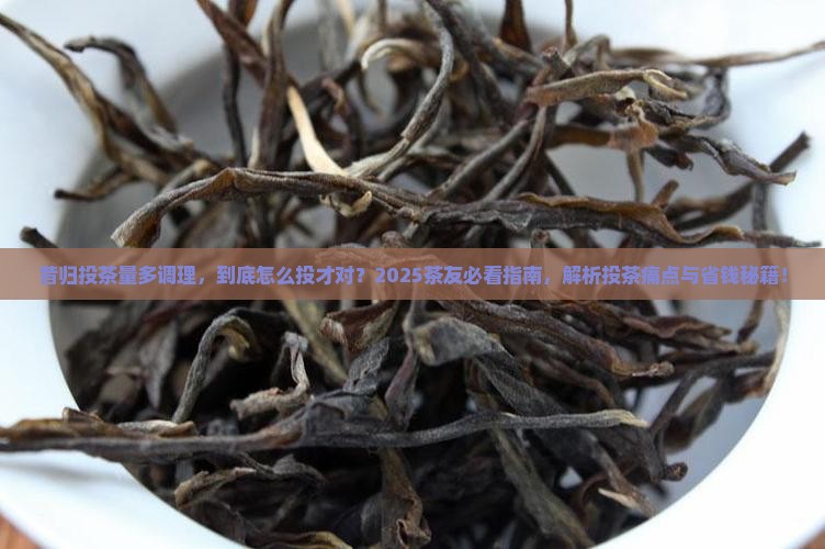 昔归投茶量多调理 昔归投茶量多调理