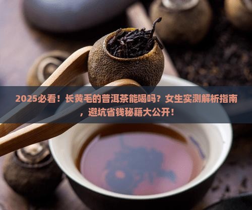 长黄毛的普洱茶能喝吗女生
