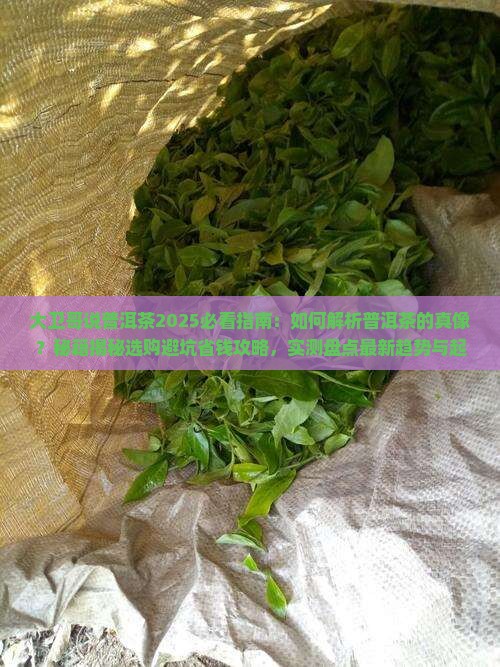 大卫哥说普洱茶
