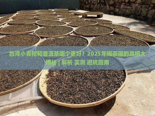 台湾小青柑和普洱茶哪个好