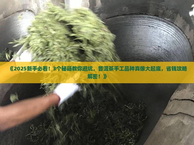 普洱茶手工品种