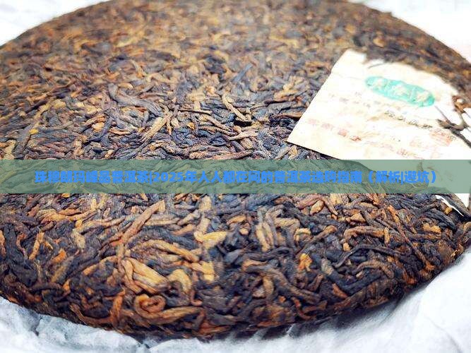 珠穆朗玛峰品普洱茶