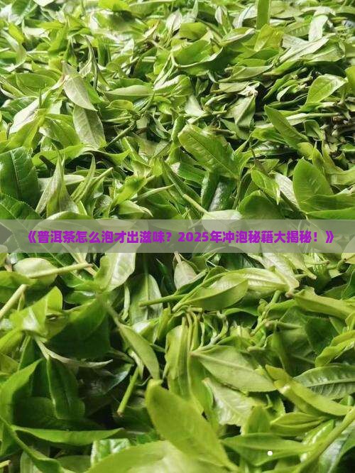 普洱茶怎么泡才滋味