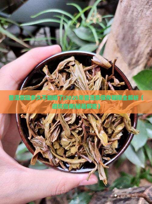 普洱茶隔多久不能喝了