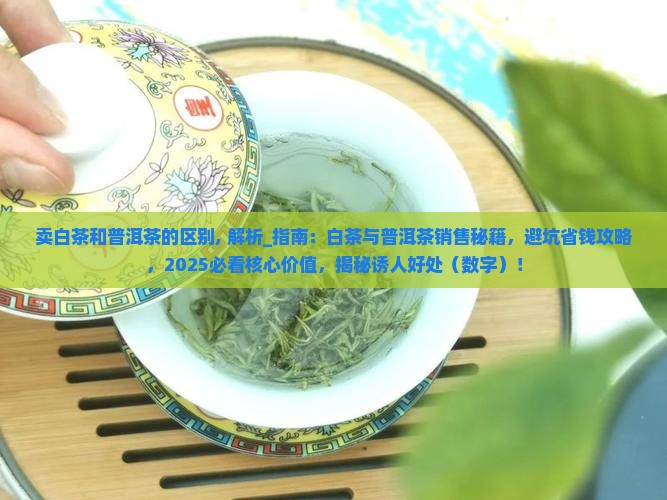 卖白茶和普洱茶的区别