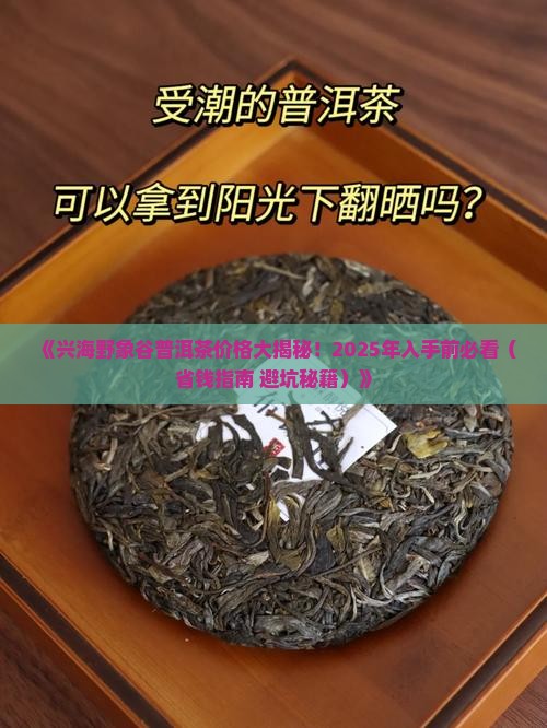 兴海野象谷普洱茶价格表
