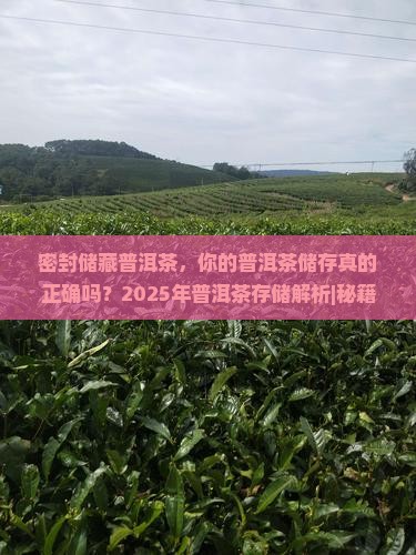 密封储藏普洱茶