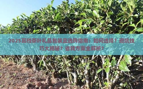 高档茶叶礼品包装盒 高档茶叶礼品包装盒