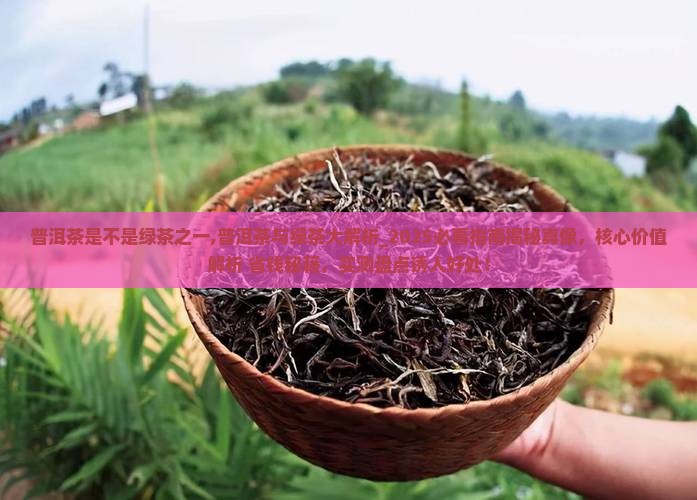 普洱茶是不是绿茶之一